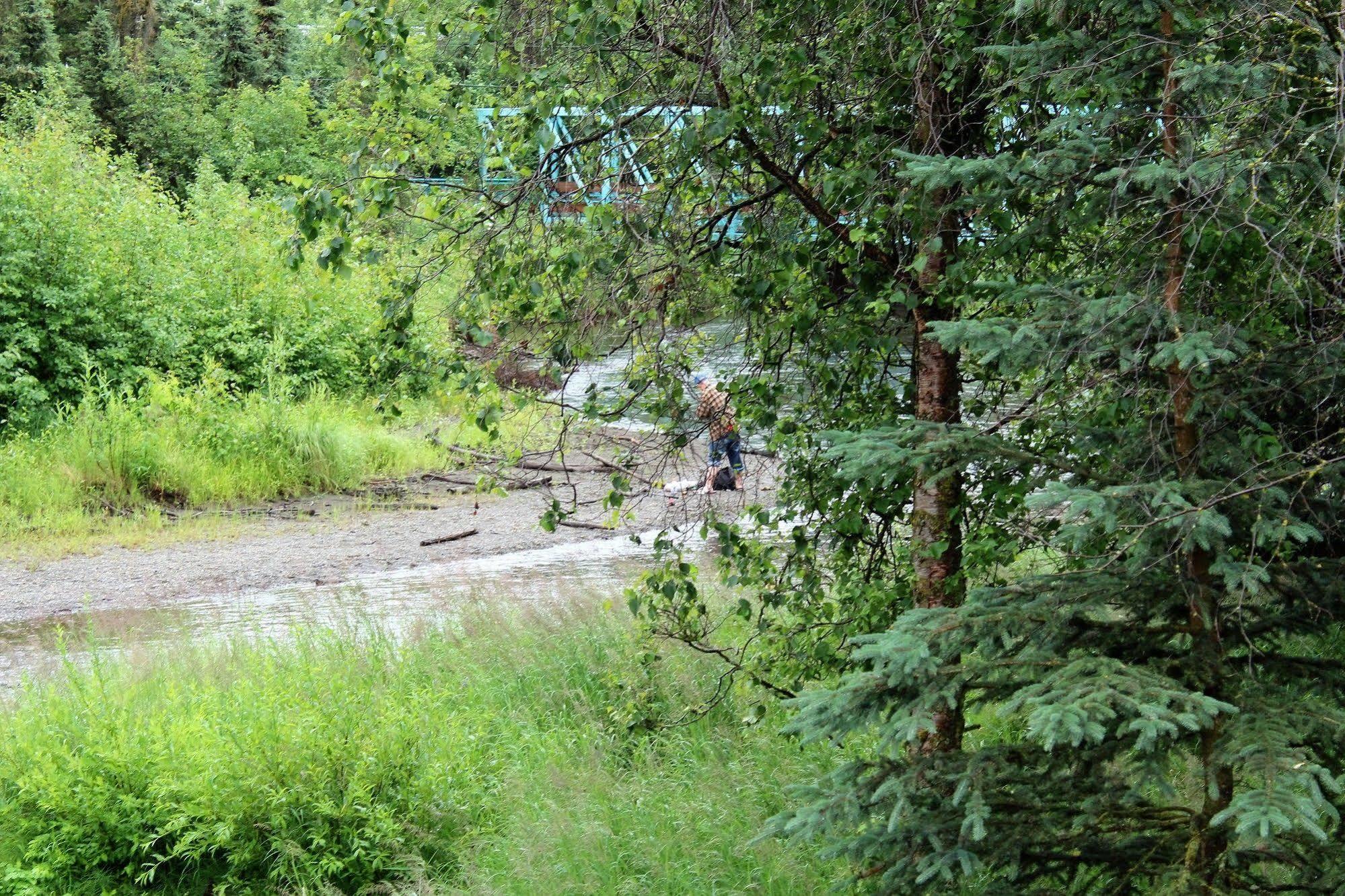 Maria'S Creekside B&B Anchorage Extérieur photo